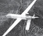 Στα μέσα της δεκαετία του 1990, η General Atomics Gnat θεωρείται ο δημιουργός μιας νέας γενιάς UAV μεγάλου εύρους και συγκεκριμένα των MALE & HALE long-endurance/long-range συστημάτων (Austin,2010).