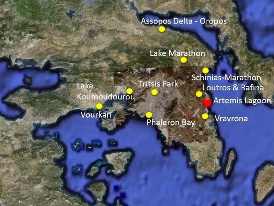 ΑΞΙΟΛΟΓΗΣΗ ΤΗΣ ΠΕΡΙΟΧΗΣ ΣΥΜΠΕΡΑΣΜΑΤΑ Εικόνα 11. Αξιολόγηση των σημαντικότερων περιοχών για την παρατήρηση πουλιών στην Αττική σε άρθρο του ιστότοπου του Σ. Ζόγκαρη (http://zogaris.blogspot.