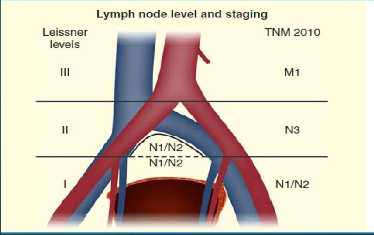 Επιλογή χειρουργικής θεραπείας Ο ρόλος και το εύρος της λεμφαδενεκτομής Το εύρος της LND δεν έχει καθοριστεί πλήρως αν και φαίνεται ότι η εκτεταμένη λεμφαδενεκτομή μέχρι του ύψους του διχασμού της