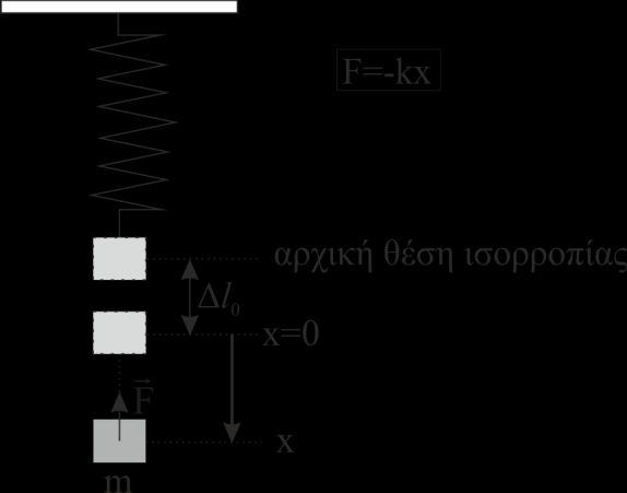 1.3 Αρμονική ταλάντωση σπειροειδούς ελατηρίου Αν στο ελεύθερο άκρο ενός κατακόρυφα στερεωμένου ελατηρίου, το οποίο αρχικά ισορροπούσε στην «αρχική θέση ισορροπίας» του (βλ. Εικόνα 1.