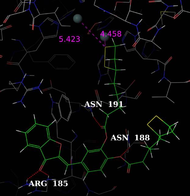 6.2.2. Πρόσδεση σε τυροσινάση από τον Streptomyces castaneoglobisporus (1WX2) Αρχικά έγιναν μελέτες πρόσδεσης στην τυροσινάση 1WX2 με την τεχνική SP και κατόπιν μέσω της τεχνικής XP.