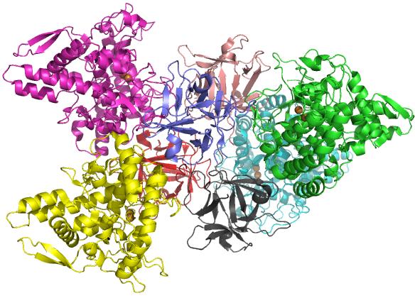 2Υ9Χ Ταυτότητα: Crystal structure of PPO3, a tyrosinase from Agaricus bisporus, in deoxyform that contains additional unknown lectin-like subunit, with inhibitor tropolone Κρυσταλλογραφικά δεδομένα: