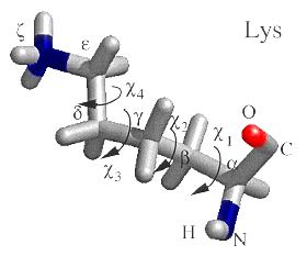 Στερεοδιαμορφώσεις των πλευρικών αλυσίδων Lys Oι στερεοδιαμορφώσεις των