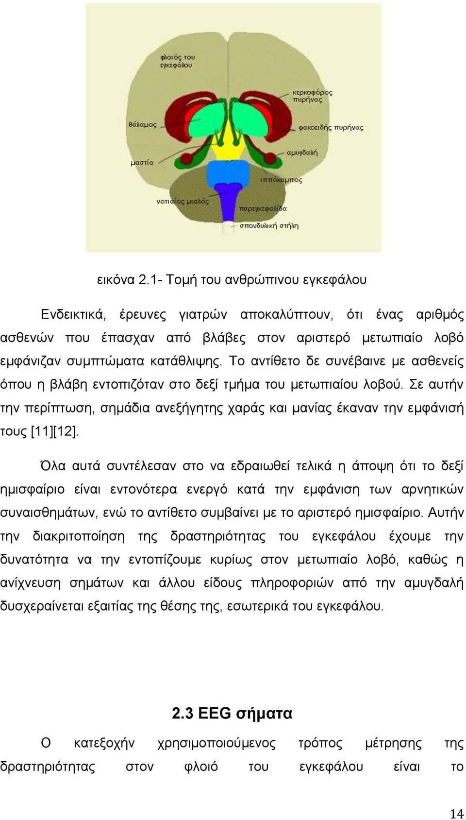 ια απηά ζπληέιεζαλ ζην λα εδξαησζεί ηειηθά ε άπνςε όηη ην δεμί εκηζθαίξην είλαη εληνλόηεξα ελεξγό θαηά ηελ εκθάληζε ησλ αξλεηηθώλ ζπλαηζζεκάησλ, ελώ ην αληίζεην ζπκβαίλεη κε ην αξηζηεξό εκηζθαίξην.