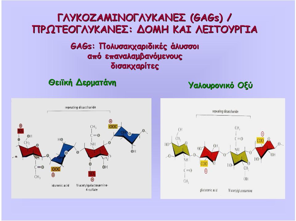 Πολυσακχαριδικές άλυσσοι από