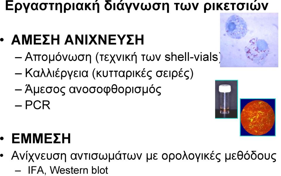 (κυτταρικές σειρές) Άµεσος ανοσοφθορισµός PCR ΕΜΜΕΣΗ