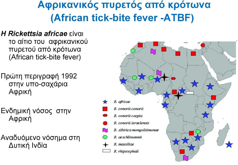 κρότωνα (African tick-bite fever) Πρώτη περιγραφή 1992 στην