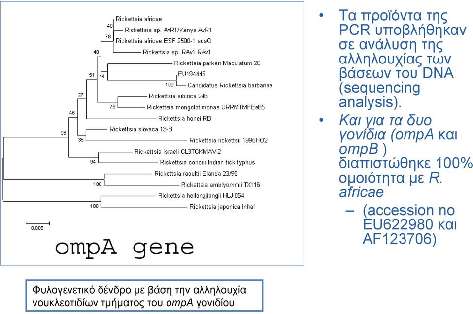 βάσεων του DNA (sequencing analysis).