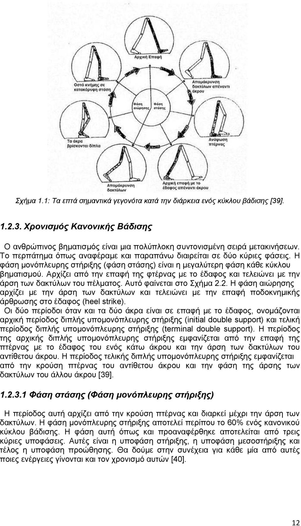 Αξρίδεη απφ ηελ επαθή ηεο θηέξλαο κε ην έδαθνο θαη ηειεηψλεη κε ηελ άξζε ησλ δαθηχισλ ηνπ πέικαηνο. Απηφ θαίλεηαη ζην ρήκα 2.