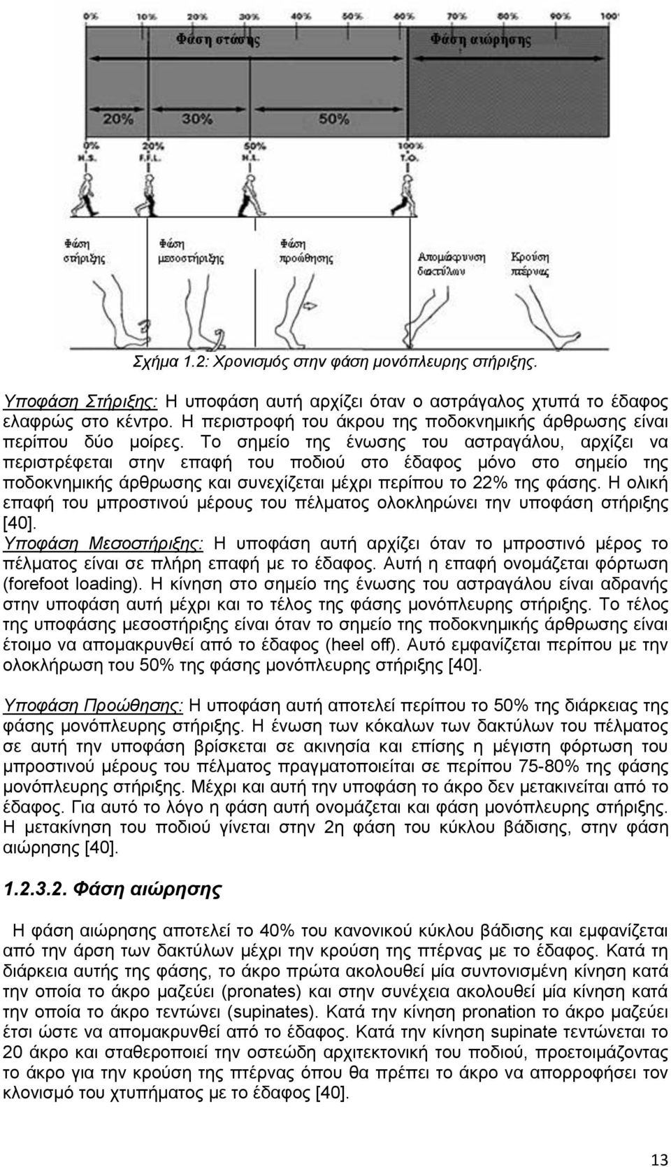 Σν ζεκείν ηεο έλσζεο ηνπ αζηξαγάινπ, αξρίδεη λα πεξηζηξέθεηαη ζηελ επαθή ηνπ πνδηνχ ζην έδαθνο κφλν ζην ζεκείν ηεο πνδνθλεκηθήο άξζξσζεο θαη ζπλερίδεηαη κέρξη πεξίπνπ ην 22% ηεο θάζεο.