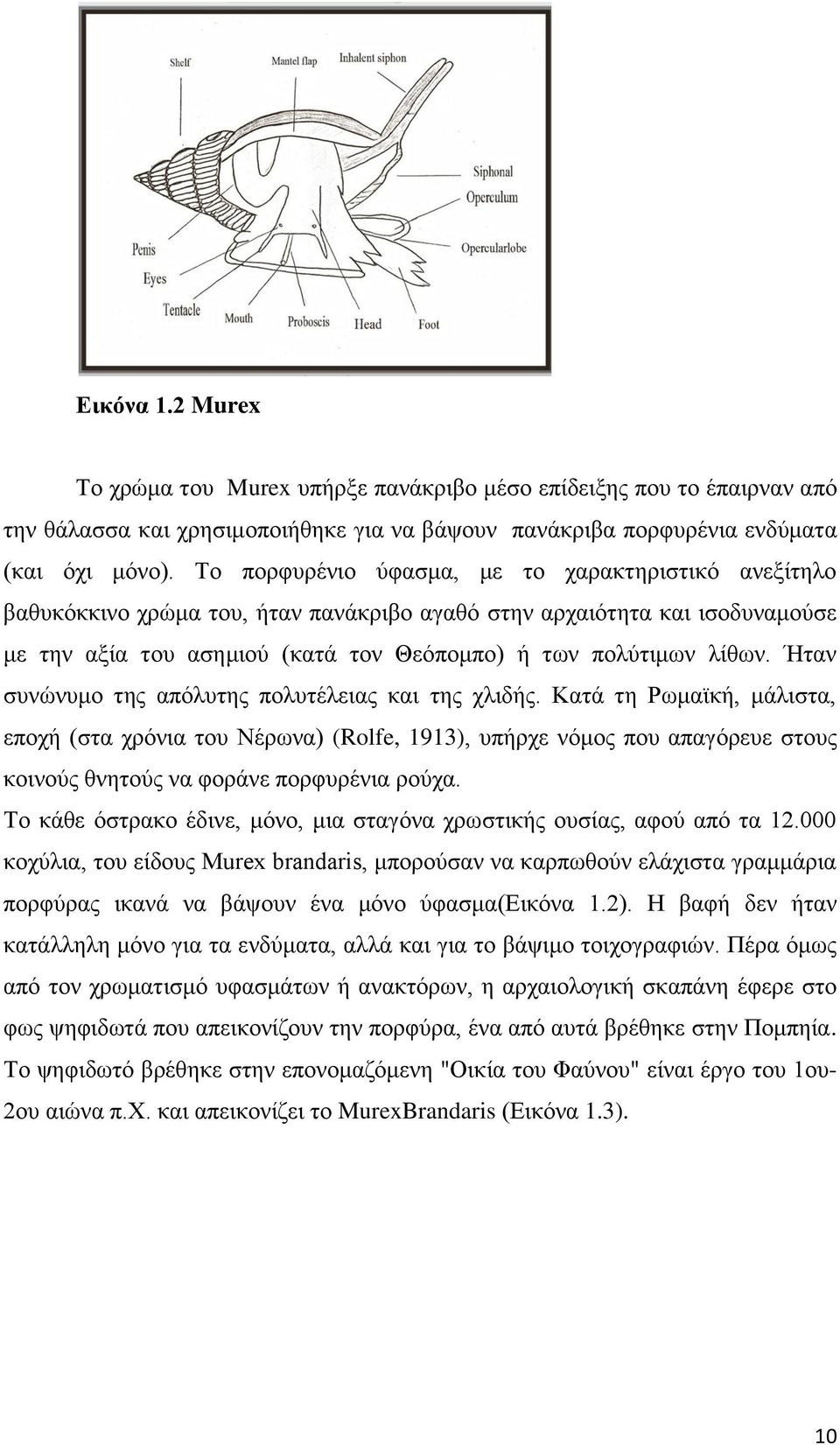 Ήηαλ ζπλψλπκν ηεο απφιπηεο πνιπηέιεηαο θαη ηεο ριηδήο.