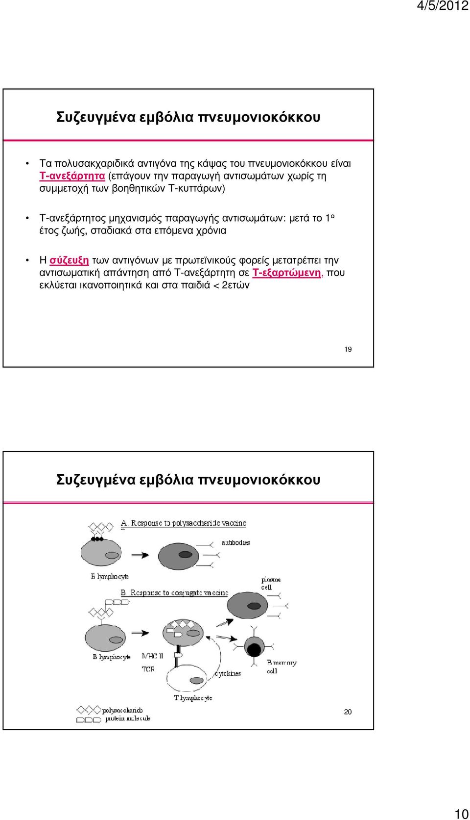 ο έτος ζωής, σταδιακά στα επόµενα χρόνια Η σύζευξη των αντιγόνων µε πρωτεϊνικούς φορείς µετατρέπει την αντισωµατική απάντηση