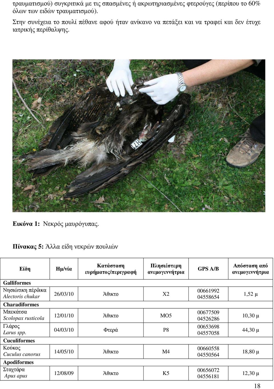 Πίνακας 5: Άλλα είδη νεκρών πουλιών Είδη Ηµ/νία Κατάσταση ευρήµατος/περιγραφή Πλησιέστερη ανεµογεννήτρια GPS A/B Απόσταση από ανεµογεννήτρια Galliformes Νησιώτικη πέρδικα Alectoris chukar