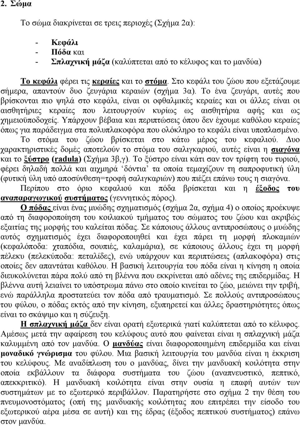 Το ένα ζευγάρι, αυτές που βρίσκονται πιο ψηλά στο κεφάλι, είναι οι οφθαλµικές κεραίες και οι άλλες είναι οι αισθητήριες κεραίες που λειτουργούν κυρίως ως αισθητήρια αφής και ως χηµειοϋποδοχείς.