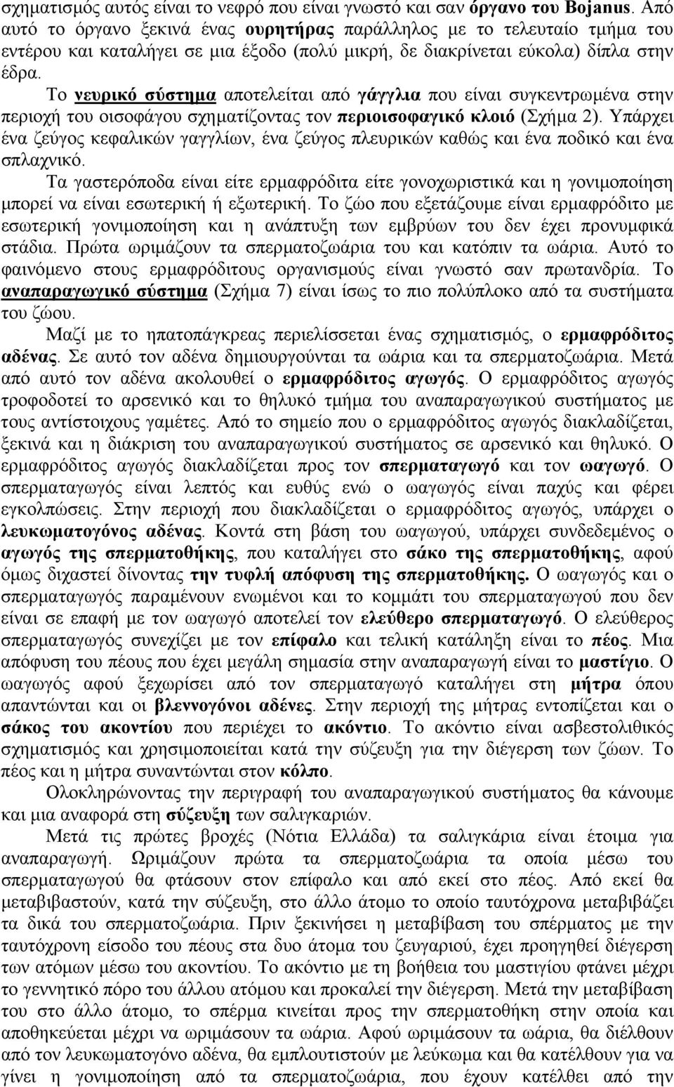 Το νευρικό σύστηµα αποτελείται από γάγγλια που είναι συγκεντρωµένα στην περιοχή του οισοφάγου σχηµατίζοντας τον περιοισοφαγικό κλοιό (Σχήµα 2).