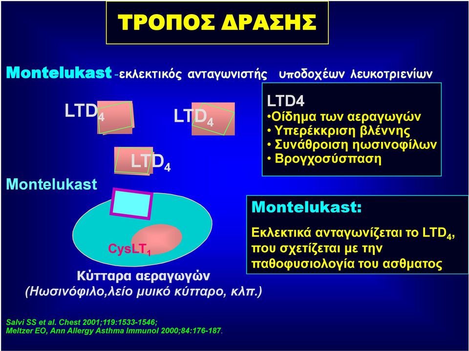 ) LTD4 Οίδημα των αεραγωγών Υπερέκκριση βλέννης Συνάθροιση ηωσινοφίλων Βρογχοσύσπαση Montelukast: Εκλεκτικά