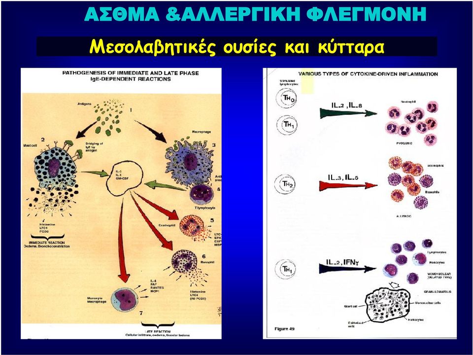 ΦΛΕΓΜΟΝΗ