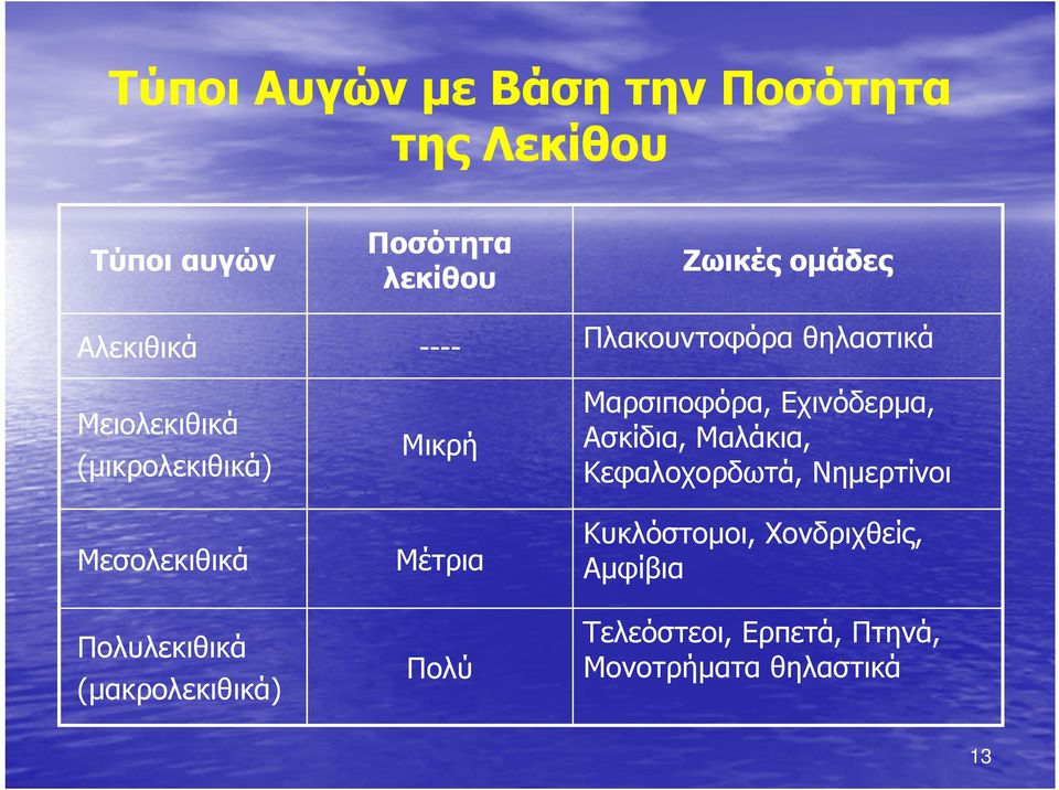 ομάδες Πλακουντοφόρα θηλαστικά Μικρή Μαρσιποφόρα, Εχινόδερμα, Ασκίδια, Μαλάκια,