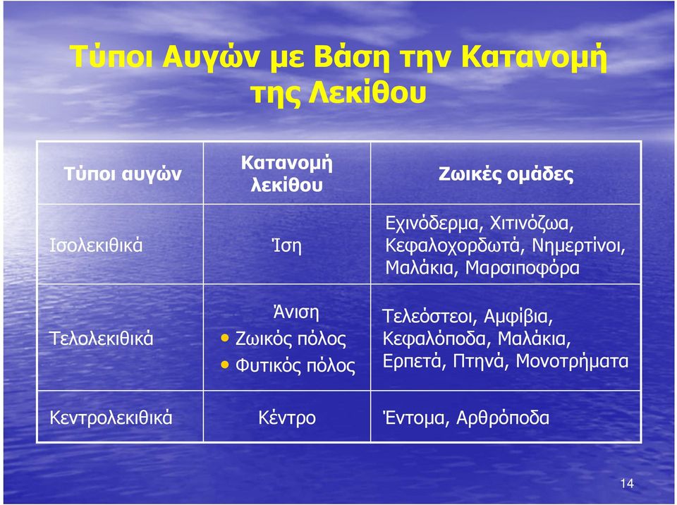 Κεφαλοχορδωτά, Νημερτίνοι, Μαλάκια, Μαρσιποφόρα Άνιση Ζωικός πόλος Φυτικός πόλος