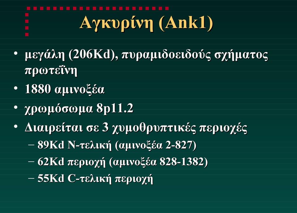 2 Διαιρείται σε 3 χυμοθρυπτικές περιοχές 89Kd N-τελική