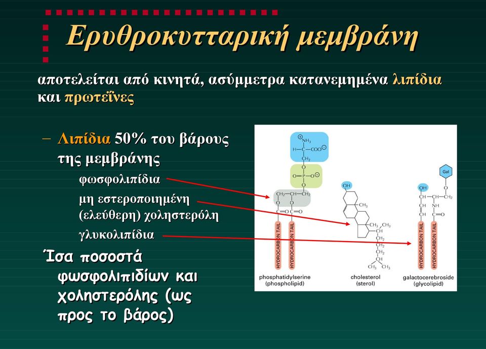 μεμβράνης φωσφολιπίδια μη εστεροποιημένη (ελεύθερη) χοληστερόλη