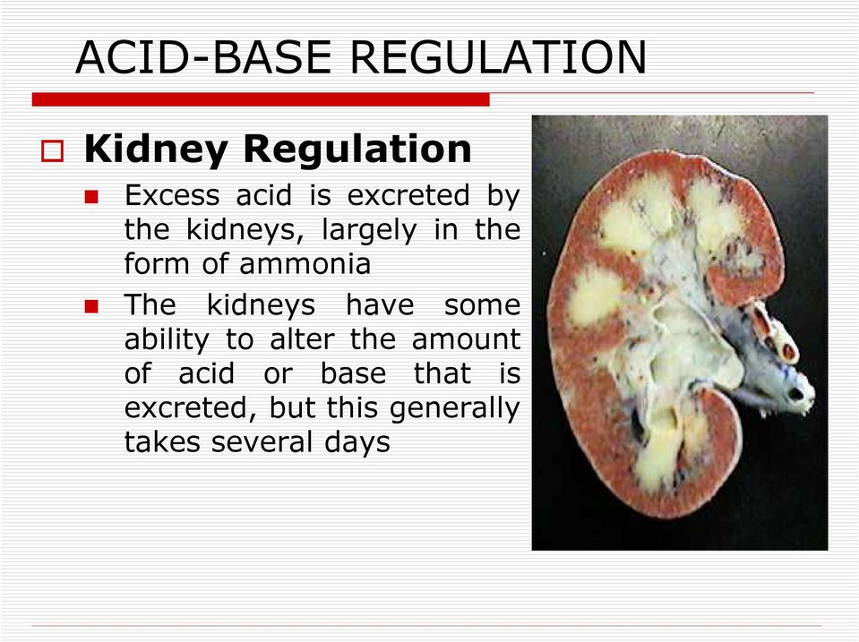 The kidneys have some ability to alter the amount of acid