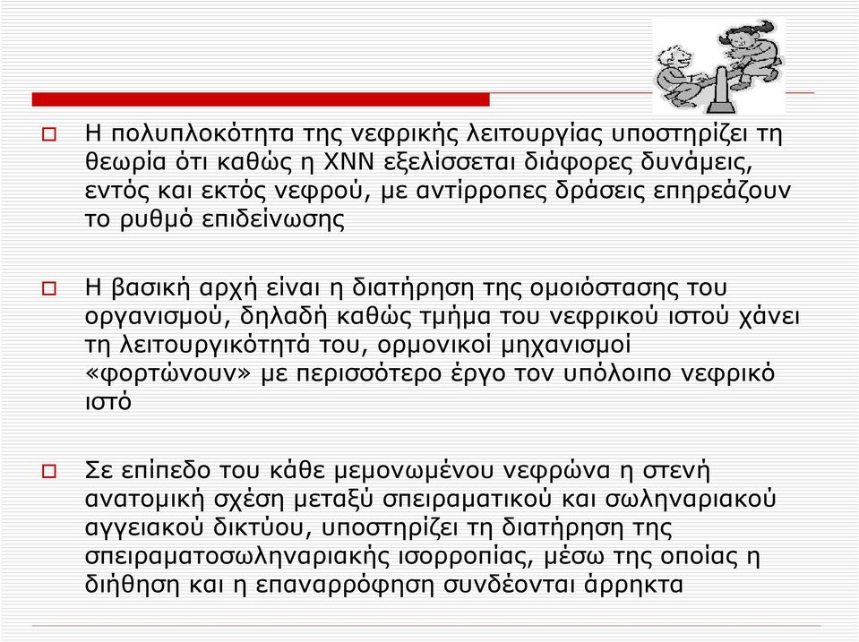 του, ορμονικοί μηχανισμοί «φορτώνουν» με περισσότερο έργο τον υπόλοιπο νεφρικό ιστό Σε επίπεδο του κάθε μεμονωμένου νεφρώνα η στενή ανατομική σχέση μεταξύ