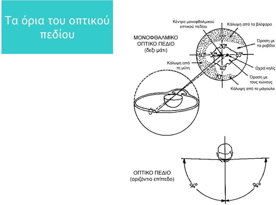 οπτικού