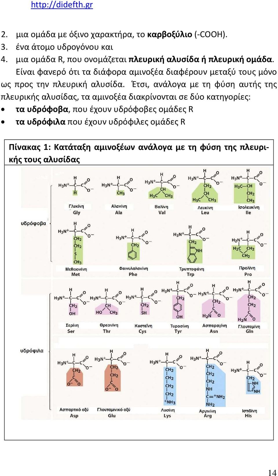 Είναι φανερό ότι τα διάφορα αμινοξέα διαφέρουν μεταξύ τους μόνο ως προς την πλευρική αλυσίδα.