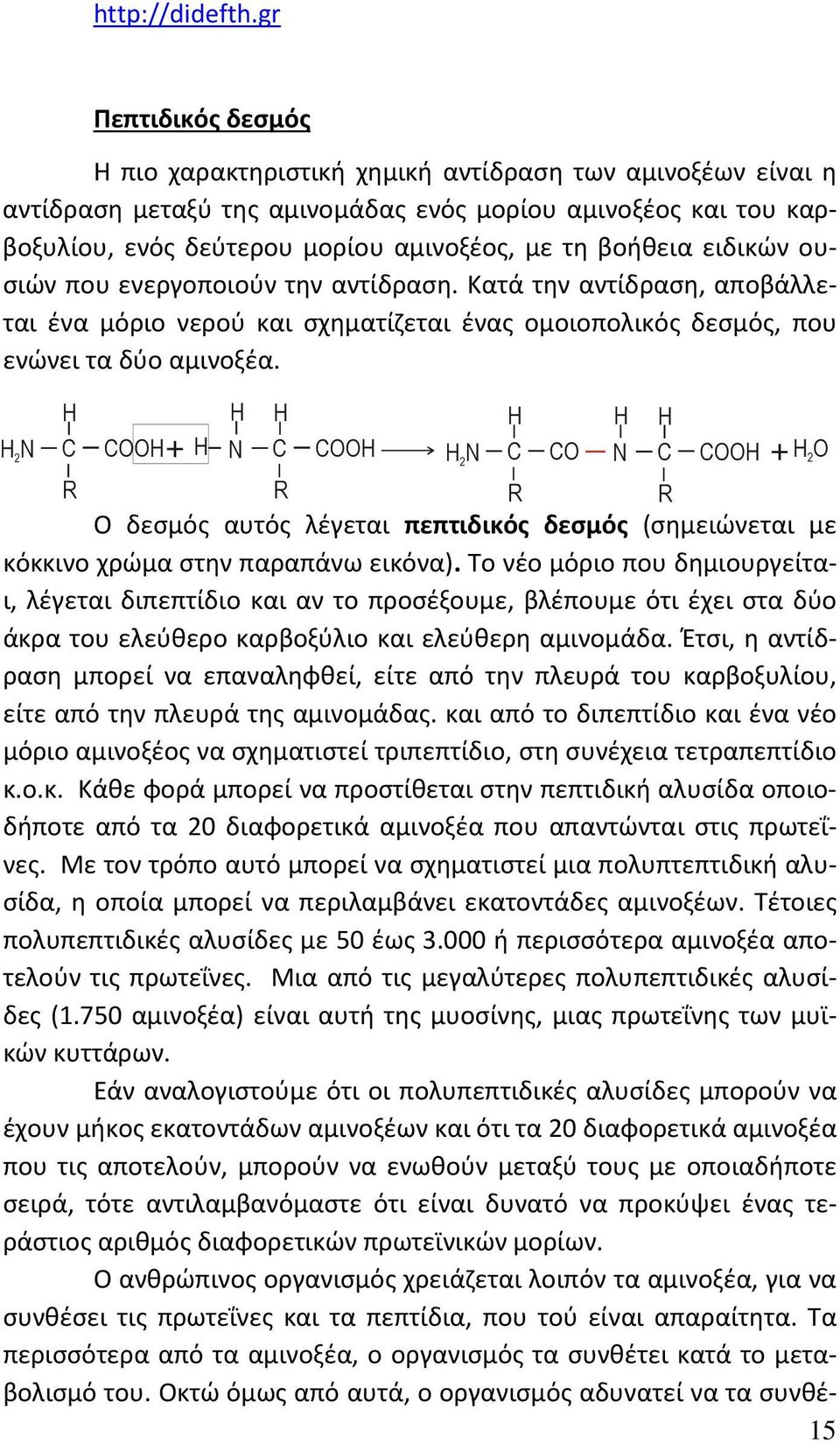 H 2 Ν H C COOH + H H Ν H C COOH + Η2Ο R R R R Ο δεσμός αυτός λέγεται πεπτιδικός δεσμός (σημειώνεται με κόκκινο χρώμα στην παραπάνω εικόνα).