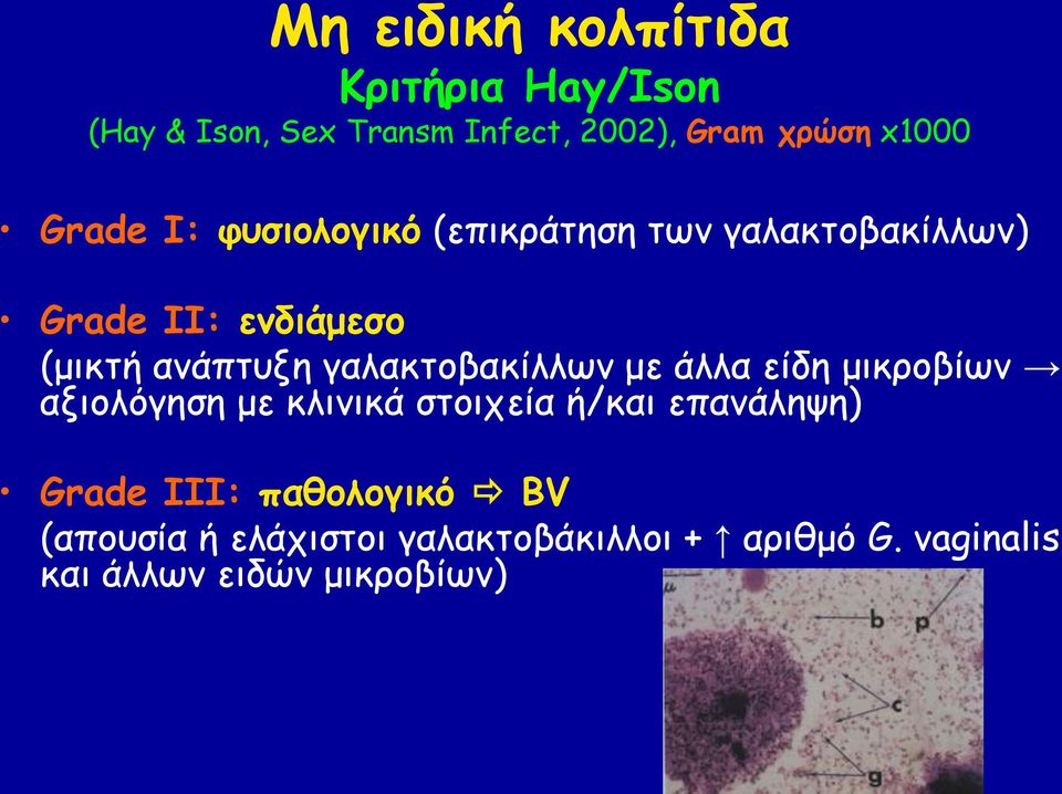 γαιαθημβαθίιιςκ με άιια είδε μηθνμβίςκ αλημιόγεζε με θιηκηθά ζημηπεία ή/θαη επακάιερε) Grade