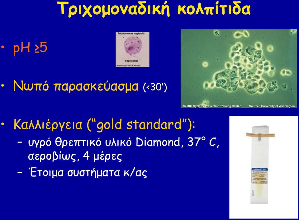 standard ): ογνό ζνεπηηθό οιηθό
