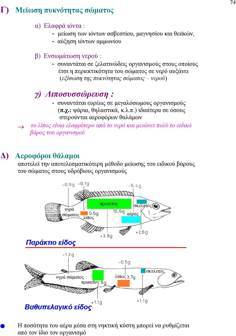 χ.: ψάρια, θηλαστικά, κ.λ.π.