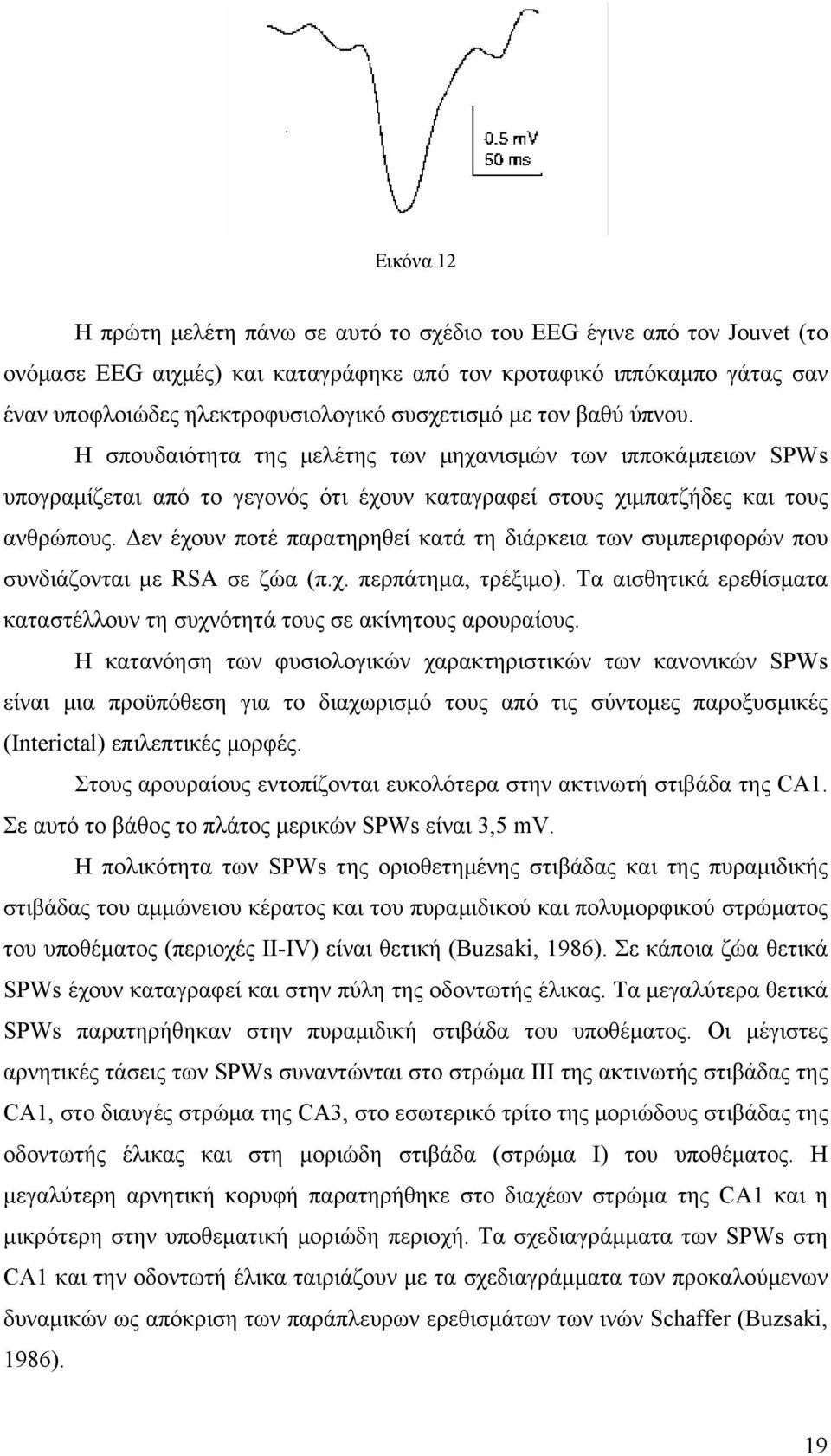 Δεν έχουν ποτέ παρατηρηθεί κατά τη διάρκεια των συμπεριφορών που συνδιάζονται με RSA σε ζώα (π.χ. περπάτημα, τρέξιμο). Τα αισθητικά ερεθίσματα καταστέλλουν τη συχνότητά τους σε ακίνητους αρουραίους.