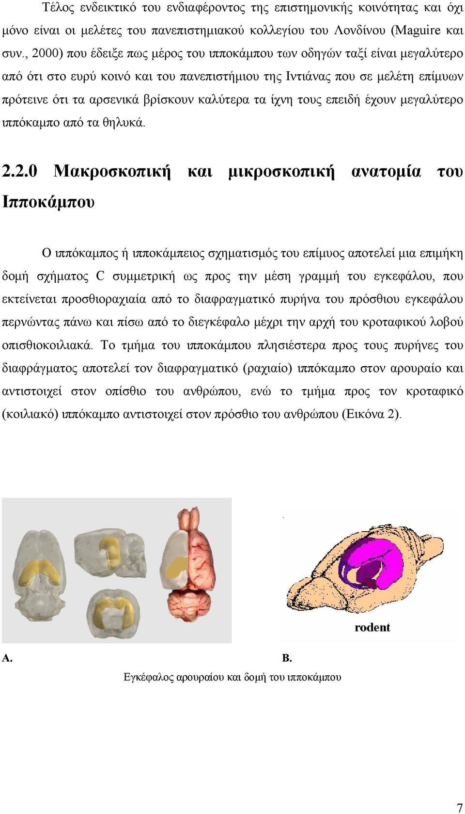 τα ίχνη τους επειδή έχουν μεγαλύτερο ιππόκαμπο από τα θηλυκά. 2.