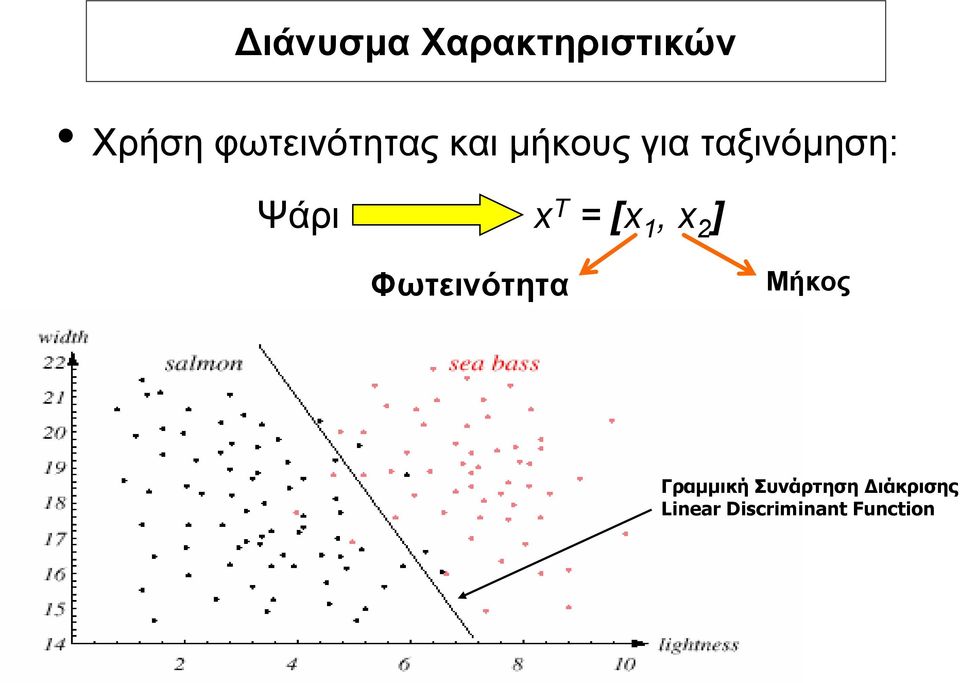 Ψάρι x T = [x 1, x 2 ] Φωτεινότητα Μήκος