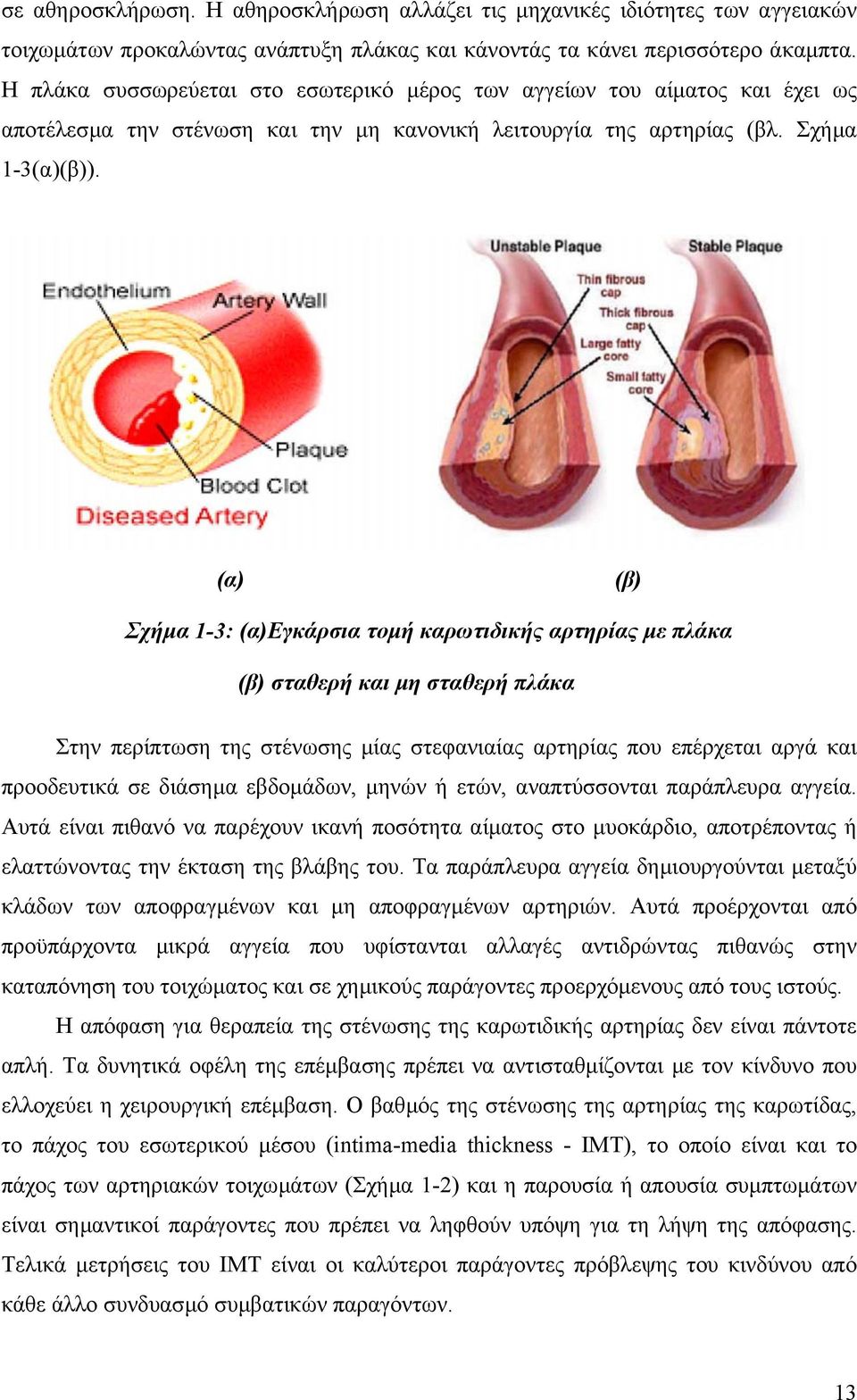(α (β Σχήµα 1-3: (αεγκάρσια τοµή καρωτιδικής αρτηρίας µε πλάκα (β σταθερή και µη σταθερή πλάκα Στην περίπτωση της στένωσης µίας στεφανιαίας αρτηρίας που επέρχεται αργά και προοδευτικά σε διάσηµα