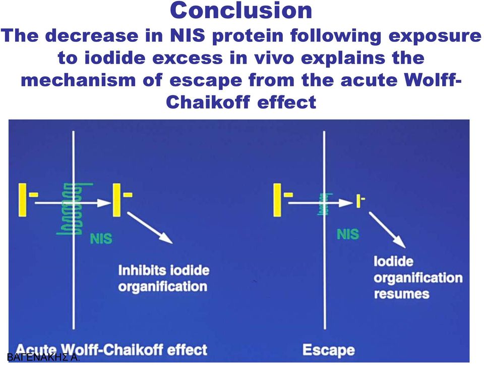 vivo explains the mechanism of escape