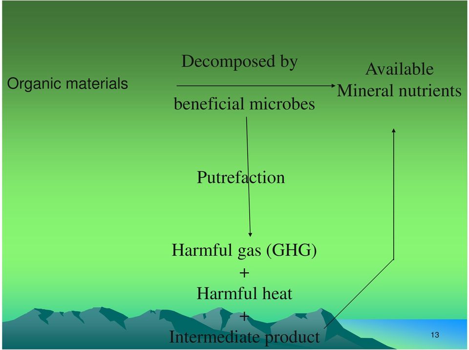 nutrients Putrefaction Harmful gas