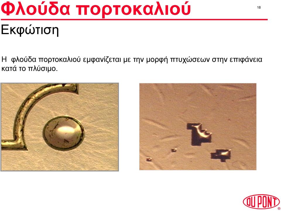 εµφανίζεται µε την µορφή