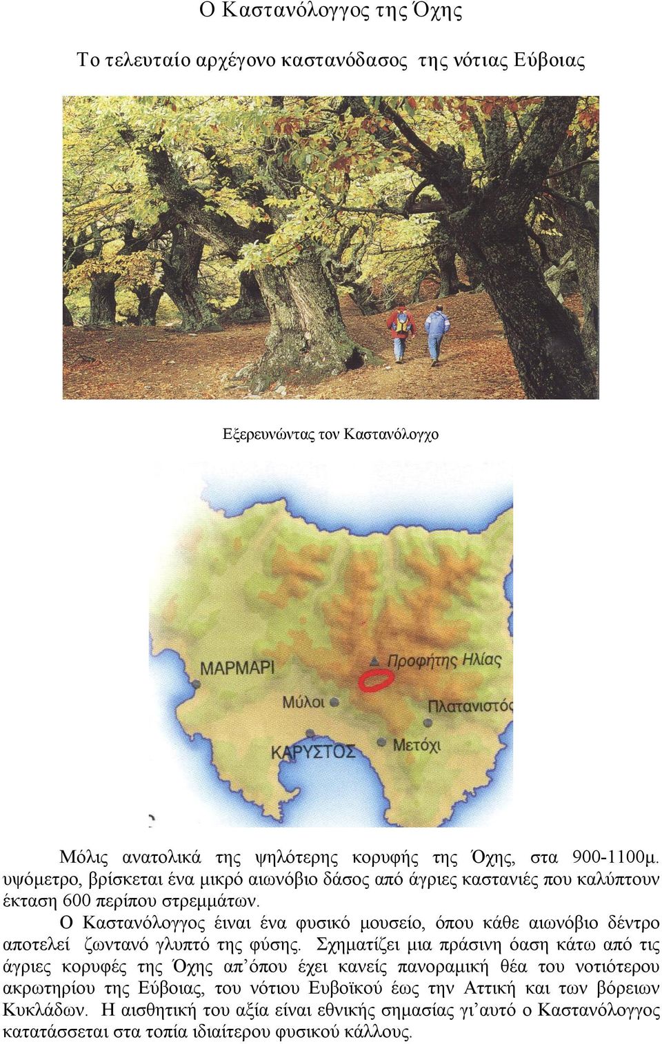 Ο Καστανόλογγος έιναι ένα φυσικό μουσείο, όπου κάθε αιωνόβιο δέντρο αποτελεί ζωντανό γλυπτό της φύσης.