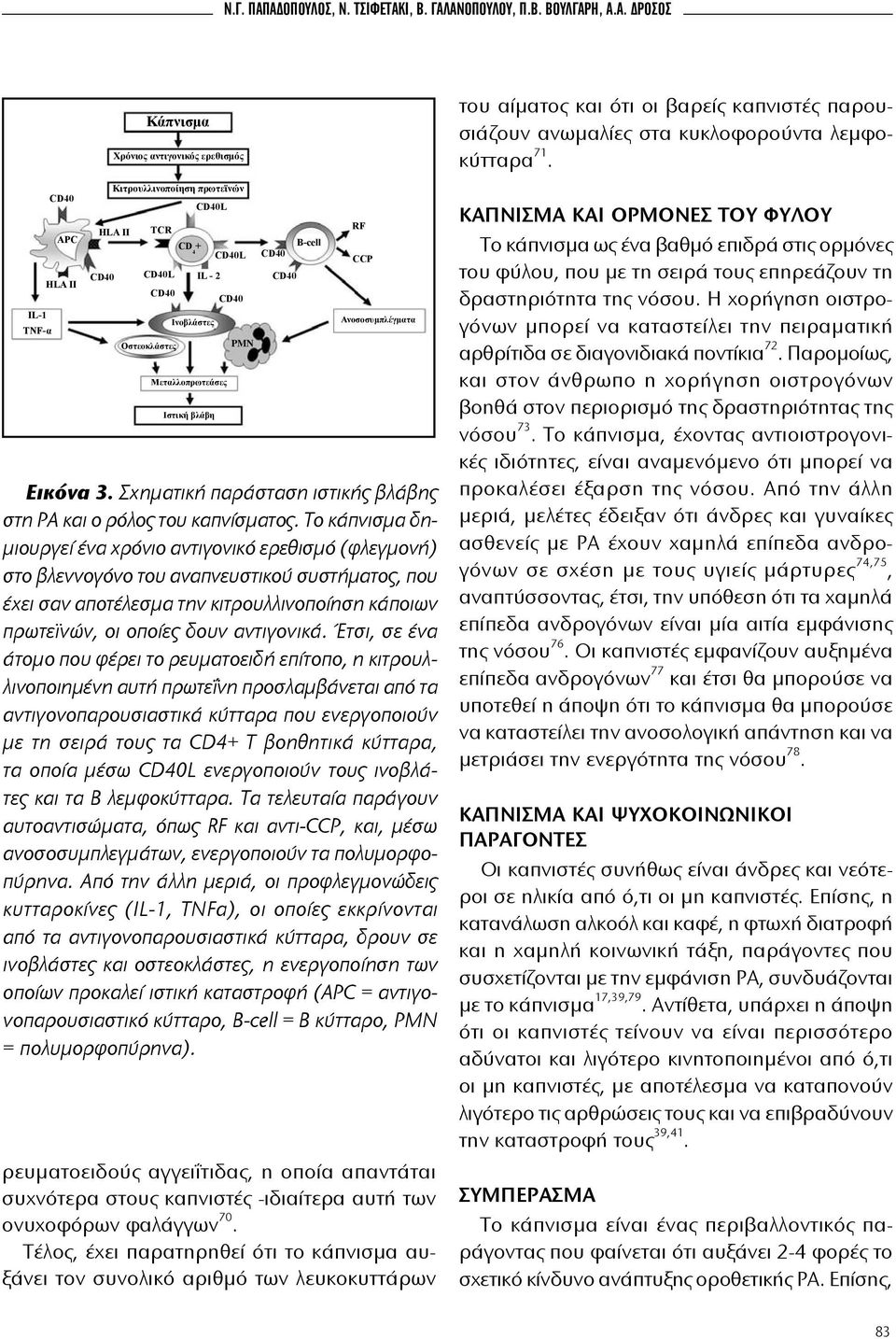 CD40 Oστεοκλάστες IL - 2 Ινοβλάστες Μεταλλοπρωτεάσες Ιστική βλάβη CD40L CD40 PMN CD40 CD40 B-cell ρευματοειδούς αγγειΐτιδας, η οποία απαντάται συχνότερα στους καπνιστές -ιδιαίτερα αυτή των ονυχοφόρων