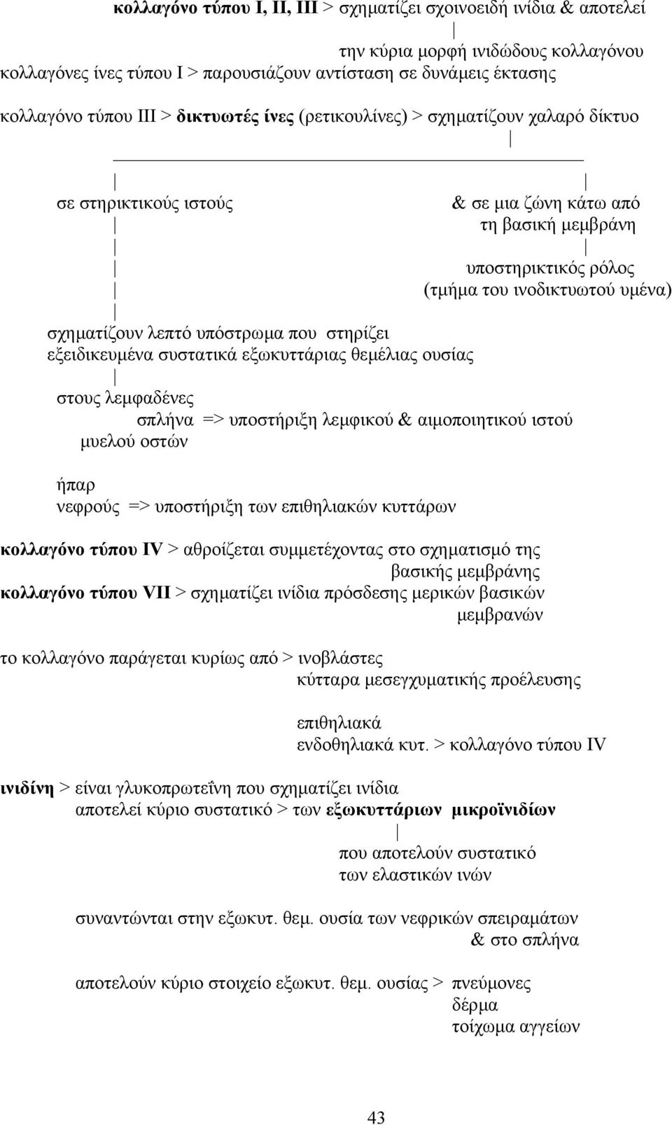 υπόστρωµα που στηρίζει εξειδικευµένα συστατικά εξωκυττάριας θεµέλιας ουσίας στους λεµφαδένες σπλήνα => υποστήριξη λεµφικού & αιµοποιητικού ιστού µυελού οστών ήπαρ νεφρούς => υποστήριξη των