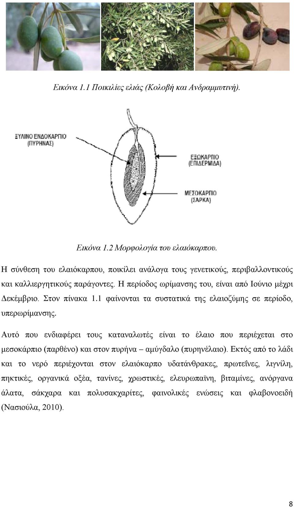 1 φαίνονται τα συστατικά της ελαιοζύμης σε περίοδο, υπερωρίμανσης.