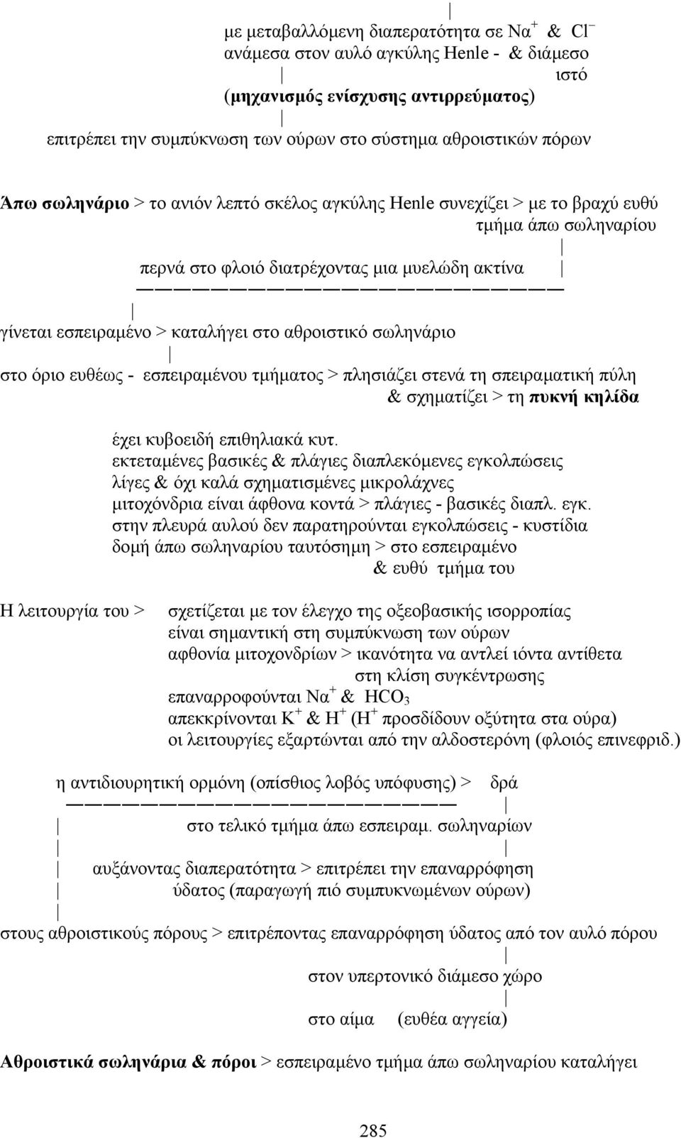 σωληνάριο στο όριο ευθέως - εσπειραµένου τµήµατος > πλησιάζει στενά τη σπειραµατική πύλη & σχηµατίζει > τη πυκνή κηλίδα έχει κυβοειδή επιθηλιακά κυτ.