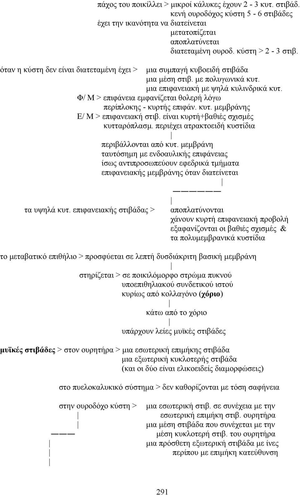 Φ/ M > επιφάνεια εµφανίζεται θολερή λόγω περίπλοκης - κυρτής επιφάν. κυτ. µεµβράνης E/ M > επιφανειακή στιβ. είναι κυρτή+βαθιές σχισµές κυτταρόπλασµ.