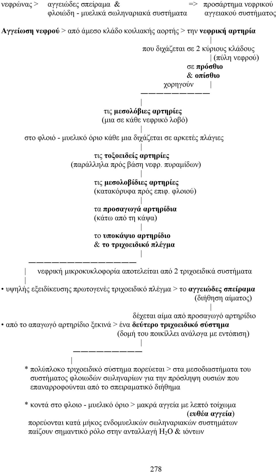 τοξοειδείς αρτηρίες (παράλληλα πρός βάση νεφρ. πυραµίδων) τις µεσολοβίδιες αρτηρίες (κατακόρυφα πρός επιφ.