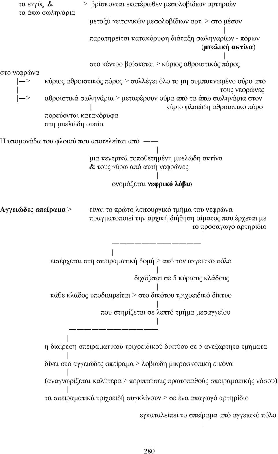 συµπυκνωµένο ούρο από τους νεφρώνες > αθροιστικά σωληνάρια > µεταφέρουν ούρα από τα άπω σωληνάρια στον κύριο φλοιώδη αθροιστικό πόρο πορεύονται κατακόρυφα στη µυελώδη ουσία H υποµονάδα του φλοιού που