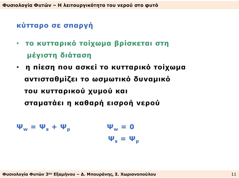 του κυτταρικού χυμού και σταματάει η καθαρή εισροή νερού Ψ w = Ψ s + Ψ p Ψ