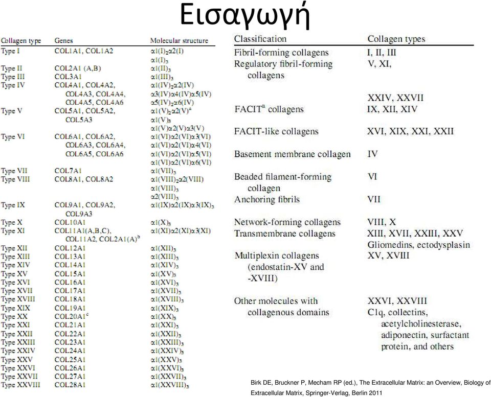 ), The Extracellular Matrix: an